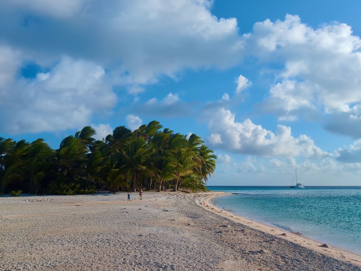 A palm-fringed beach with Zoë anchored offshore